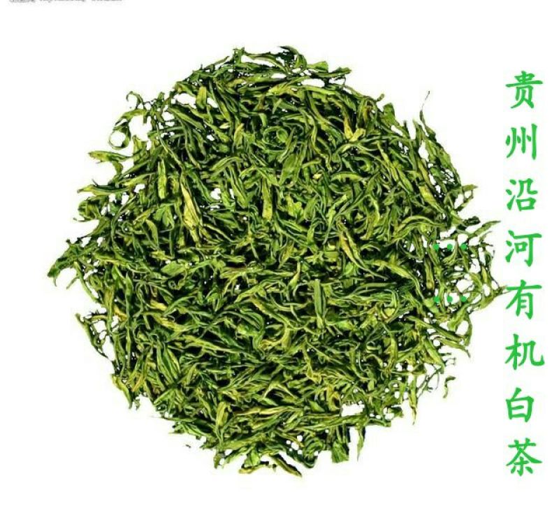 白牡丹