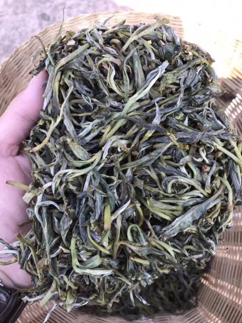 普洱绿茶