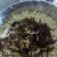 柠檬膏
