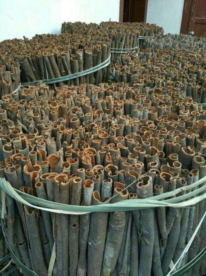 桂皮散装统货