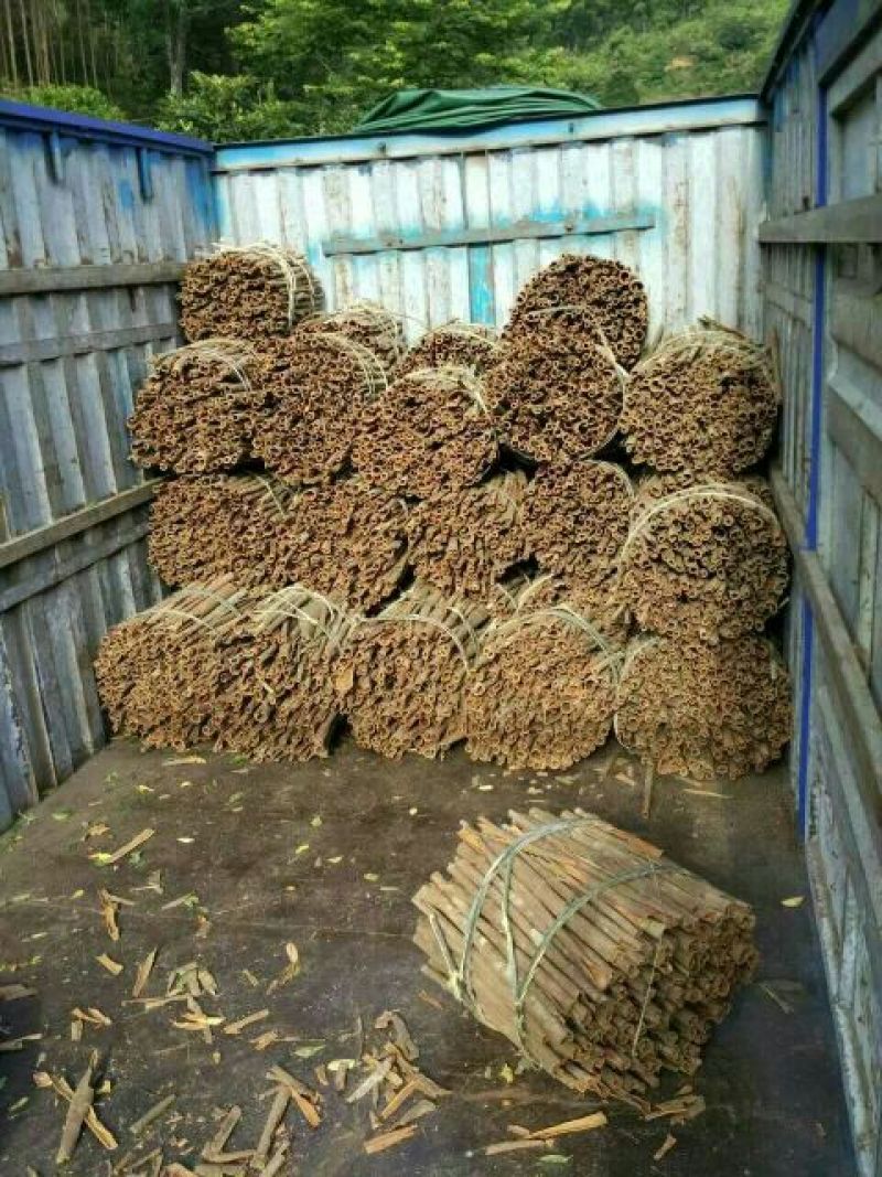 桂皮散装统货