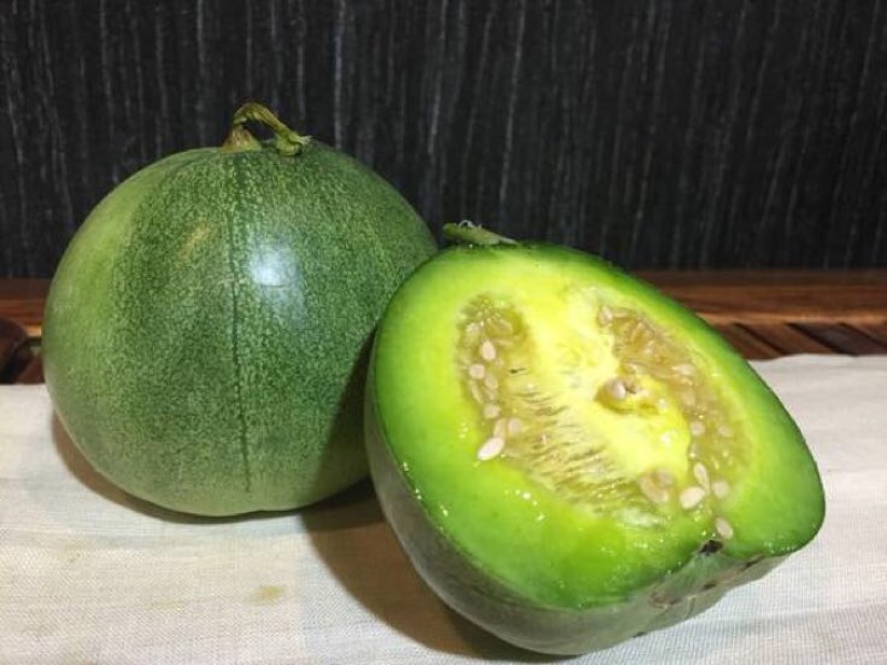 绿甜宝甜瓜种子