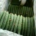 夏邑中农1101黄瓜25公分以上干花带刺诚信代办