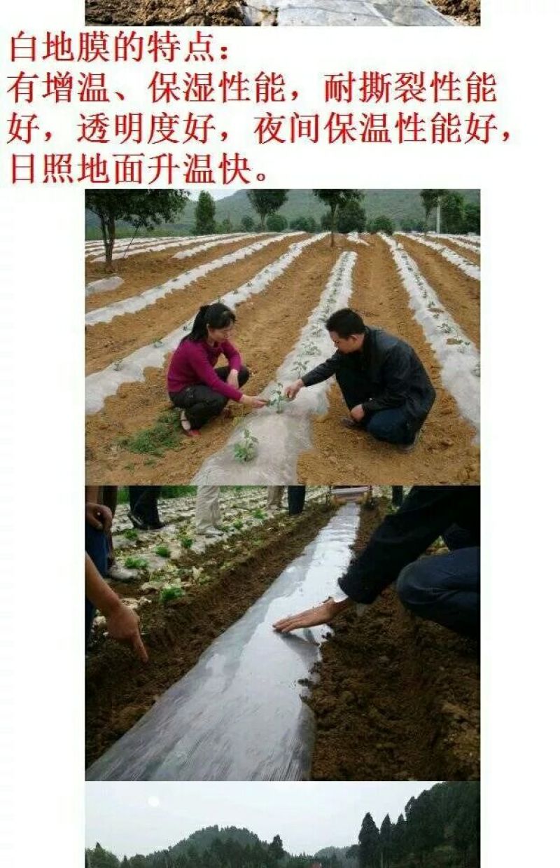 地膜银色