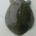 生态甲鱼2~2.5斤