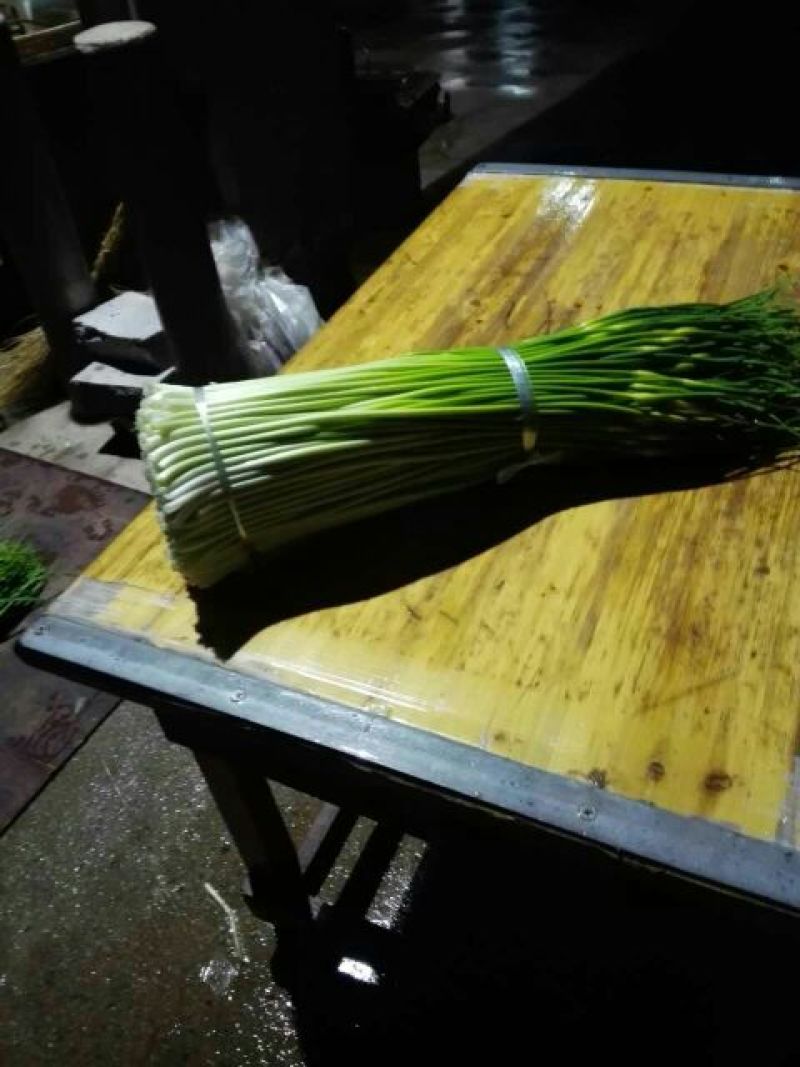 徐州丰县蒜苔蒜薹50~60厘米基地直发