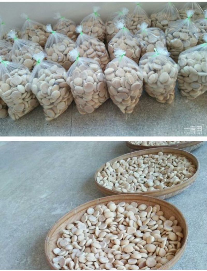 饼干散装