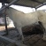 肉马200~300kg