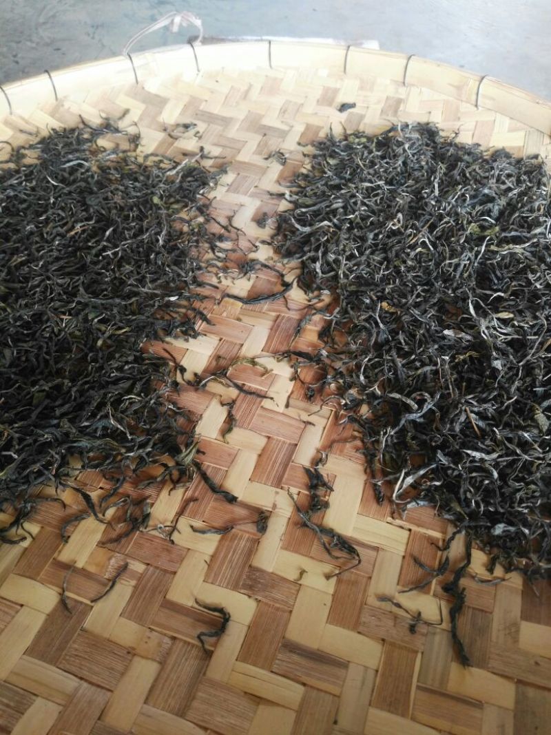 古树普洱茶一级