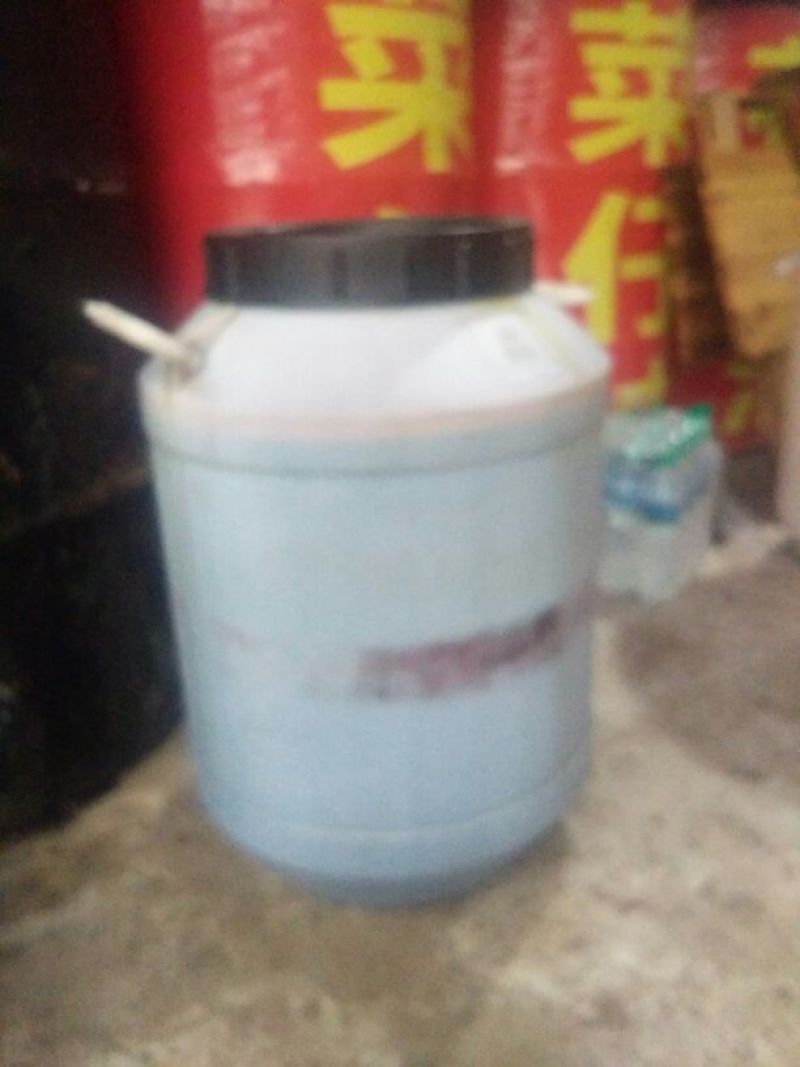 压榨菜籽油四级