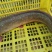 胡子鲶食用