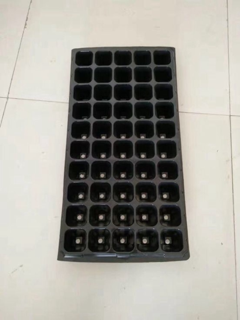 穴盘50孔