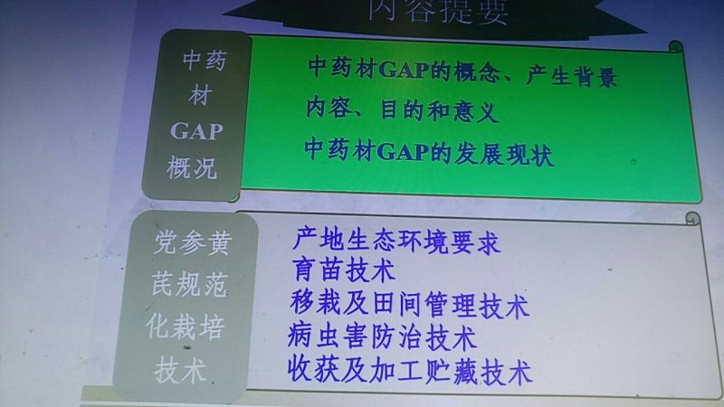 黄芪种子80%以上