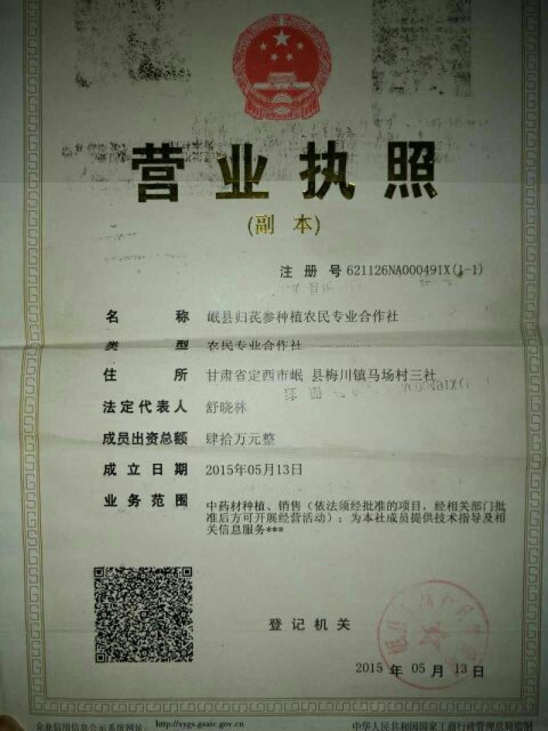 黄芪苗