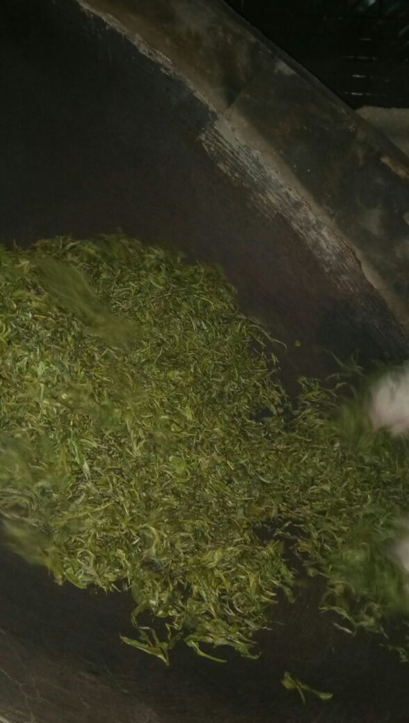 本山茶二级