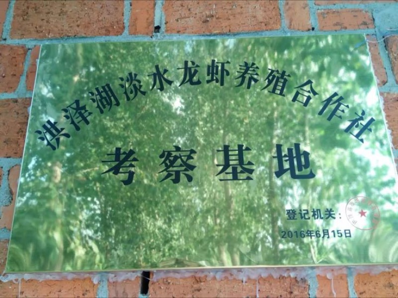 虾苗青苗包成活率专车运输