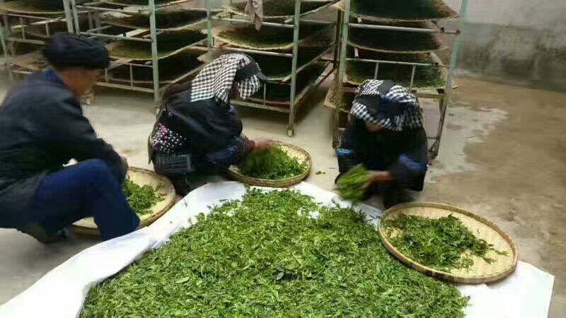 普洱茶