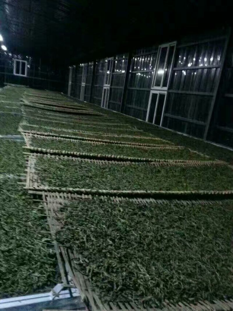普洱茶