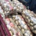优质黄心土豆3两以上精品，需要的请联系