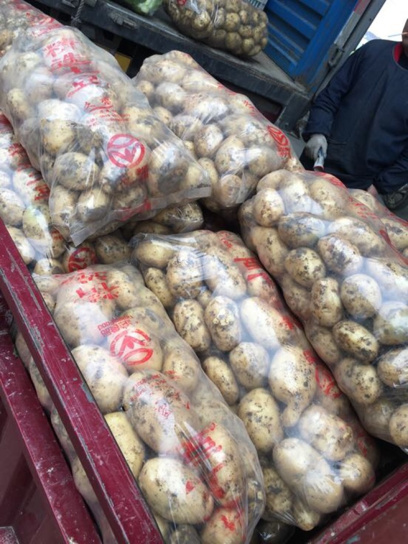 优质黄心土豆3两以上精品，需要的请联系