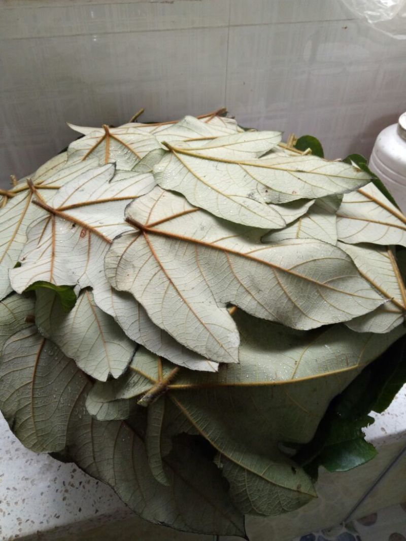豆豉