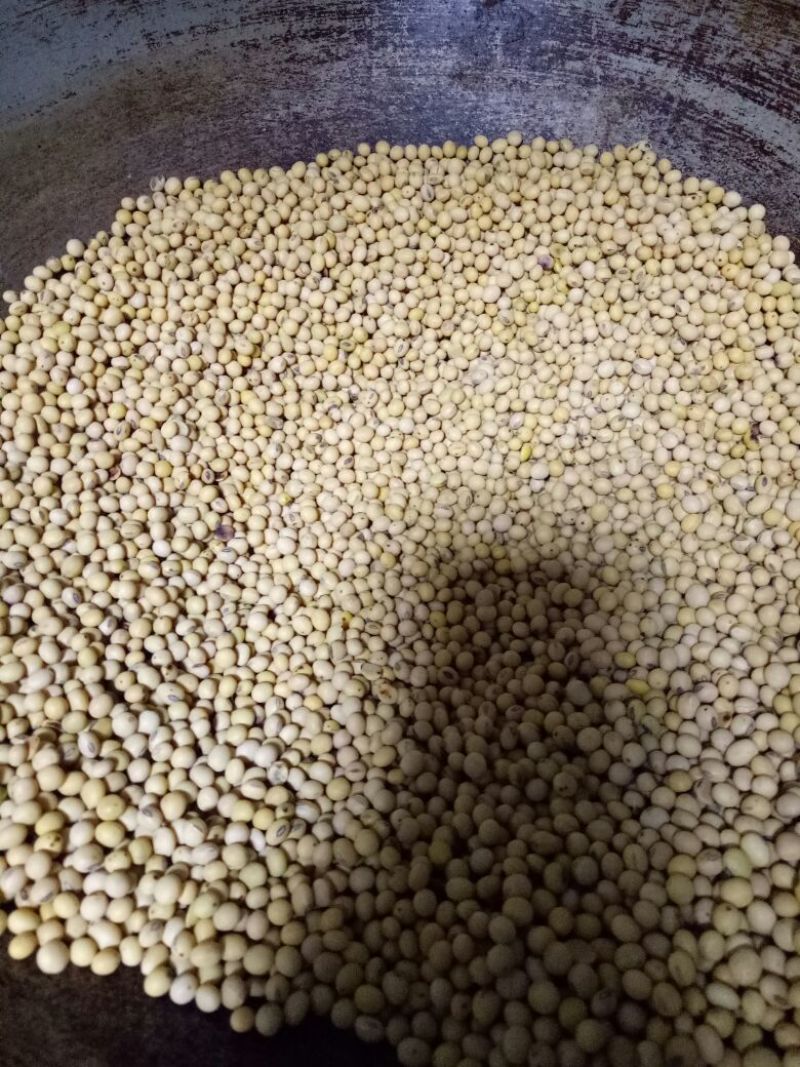 豆豉