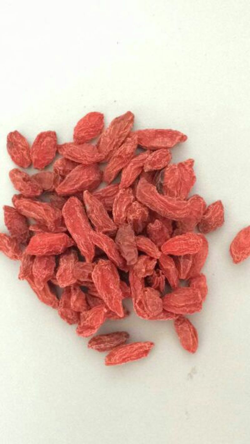 红枸杞干货头茬