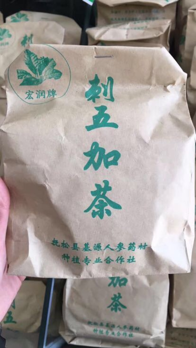 刺五加茶