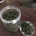 刺五加茶