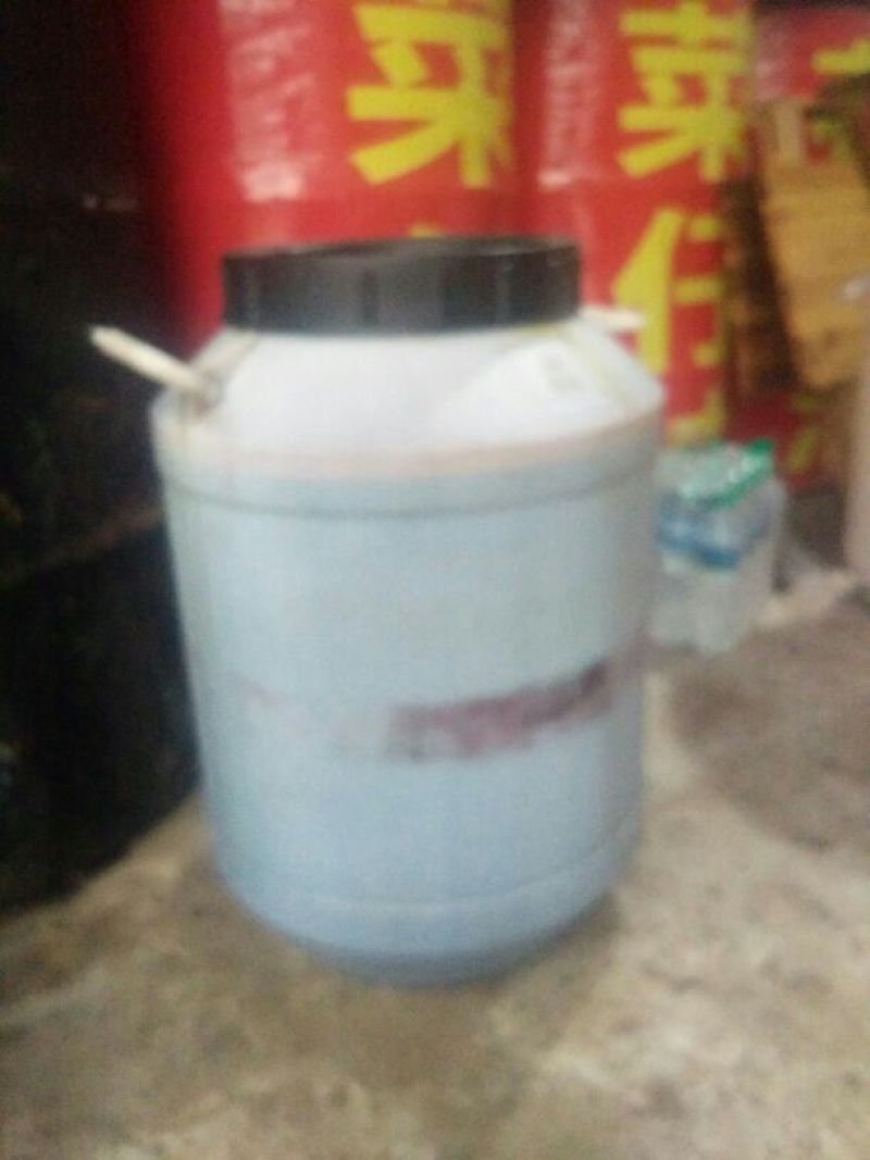 压榨菜籽油四级