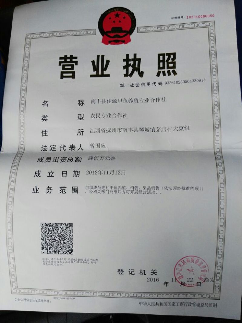 生态甲鱼2.5~3斤