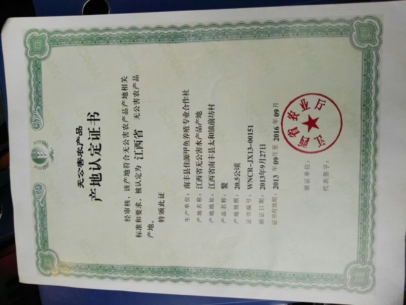 生态甲鱼2.5~3斤