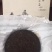 古树普洱茶