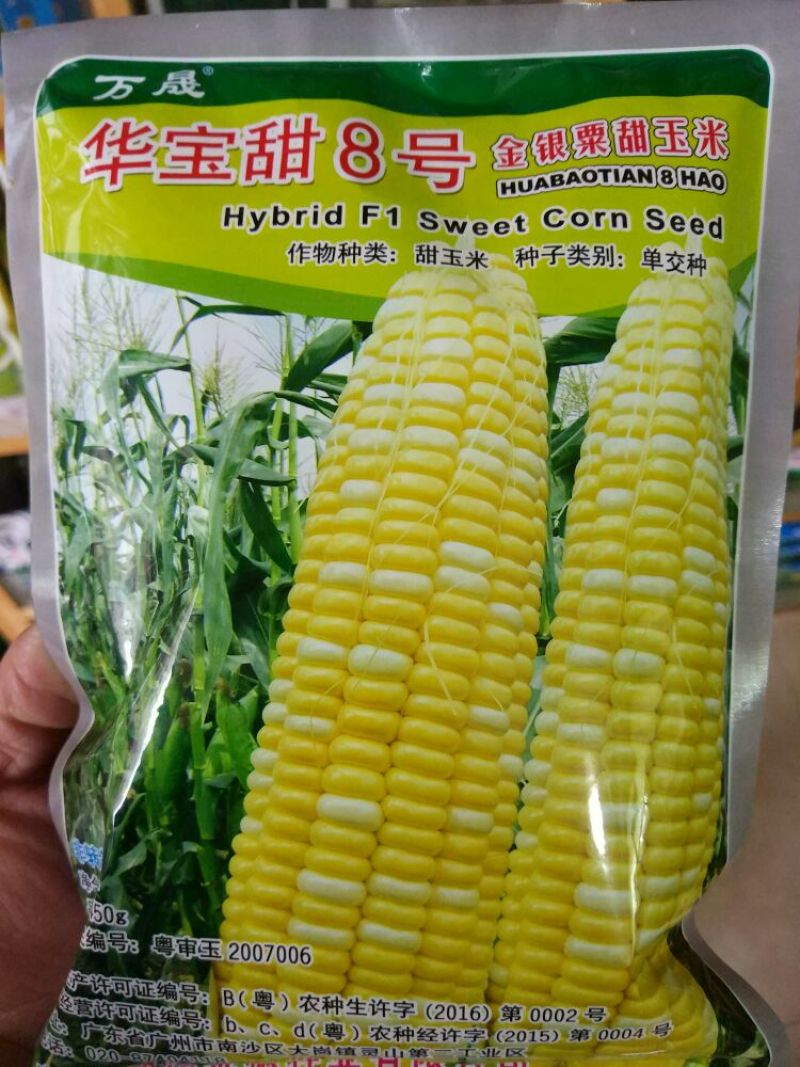 菜用玉米1%