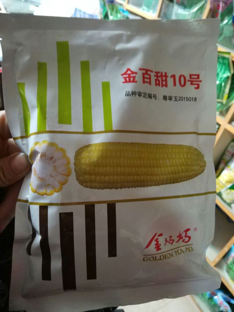菜用玉米1%