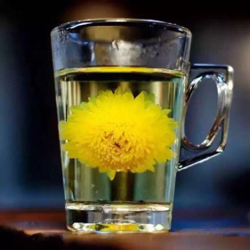 菊花茶