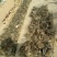 杂交野兔3~5