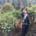 普洱茶