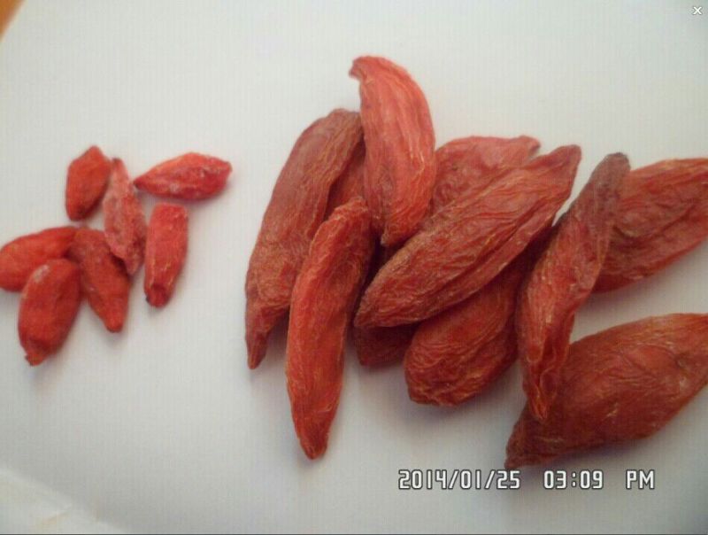 红枸杞头茬干货