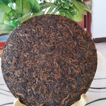 普洱茶