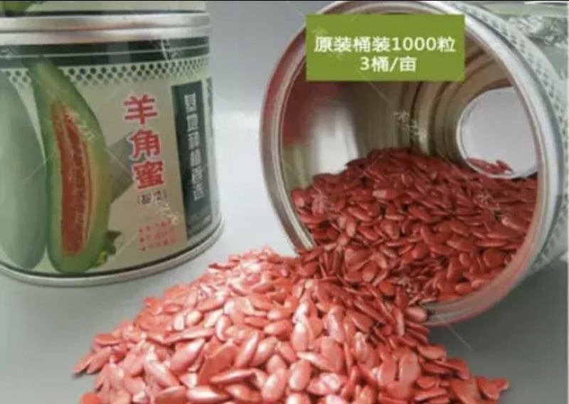 甜瓜种子