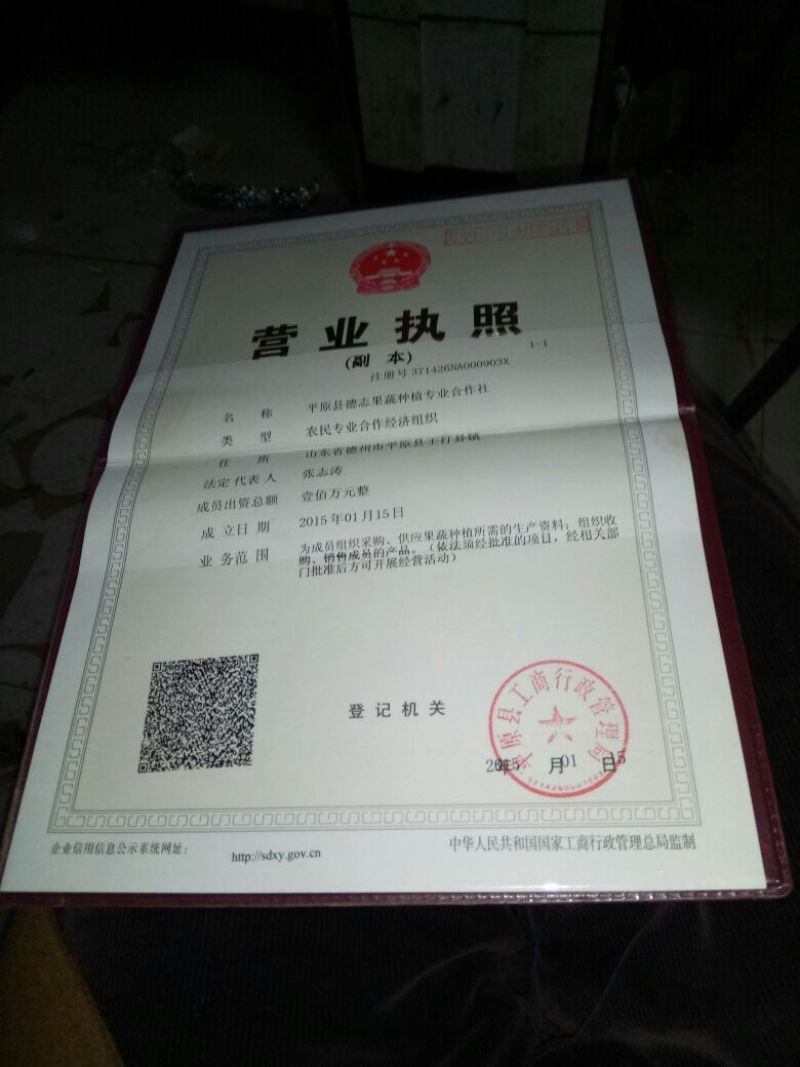 西瓜苗99%以上