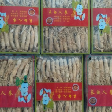 人参生晒东北干货一斤起包邮量大从优