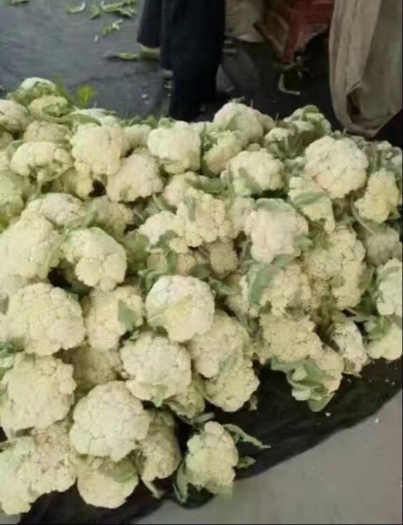 菜花