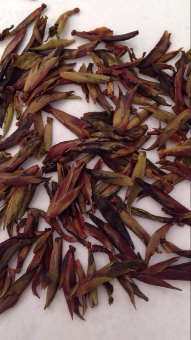 百年大树茶