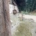 野蜂蜜1斤