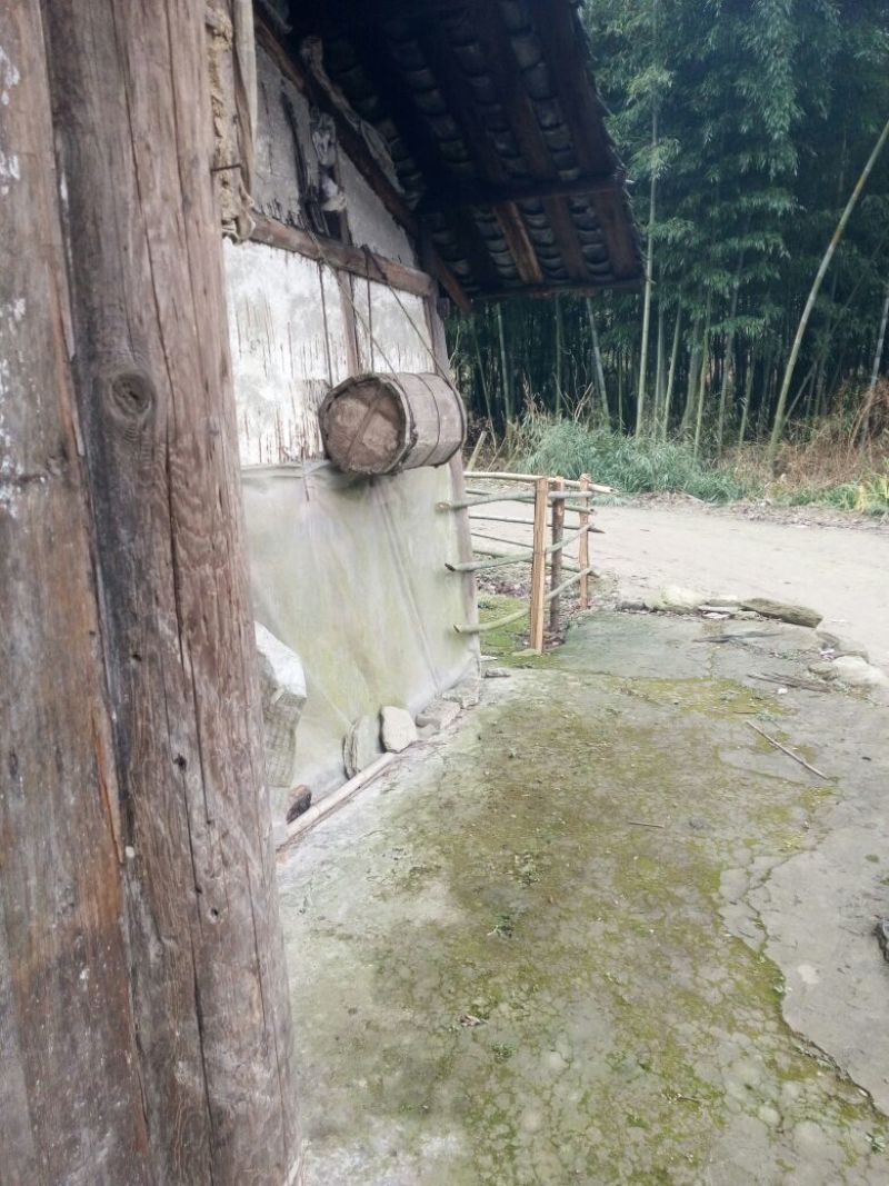 野蜂蜜1斤