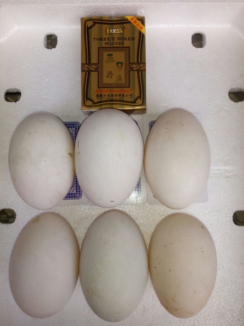土鹅蛋食用，自家鱼塘养的，