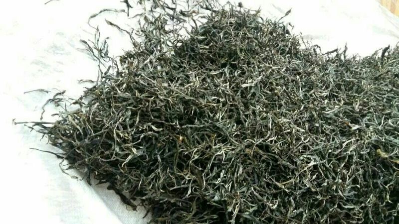 百年大树茶一级