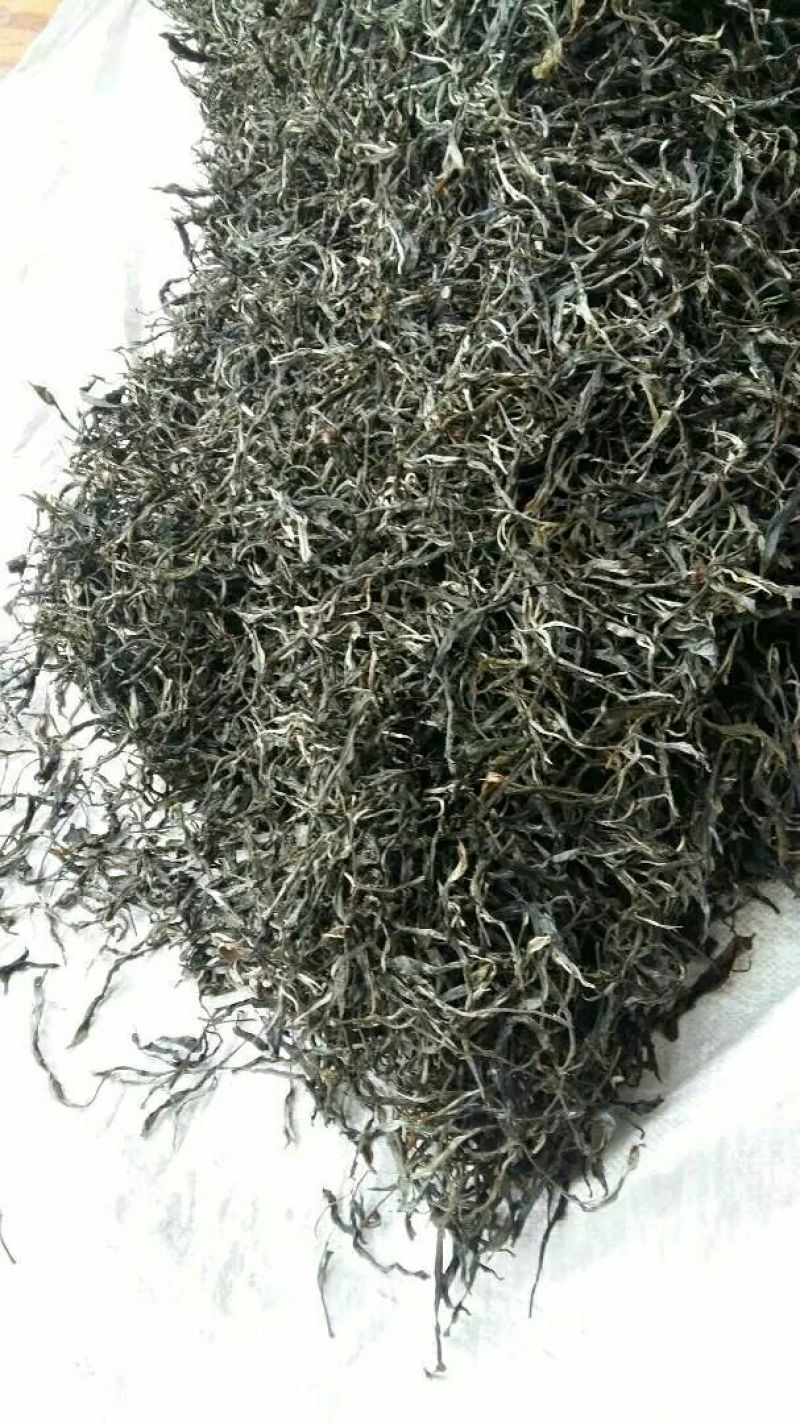 百年大树茶一级